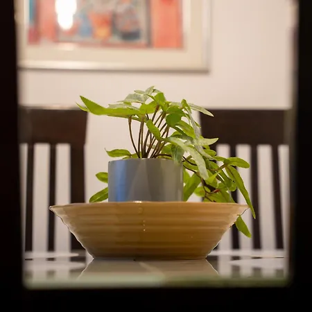 Katedrala-center Appartement *